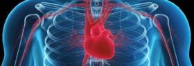 Image - Replacing the Heart with a Mechanical Pump – Cardiovascular Engineering in the ICETLAB
